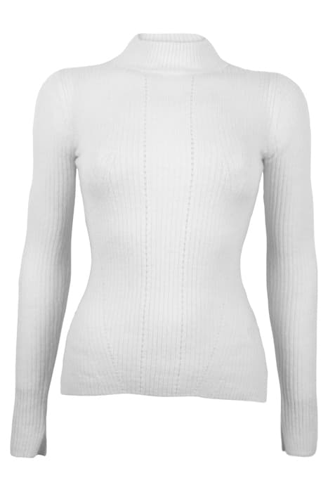 RHODA TURTLE NECK CHALK WHITE by AllSaints