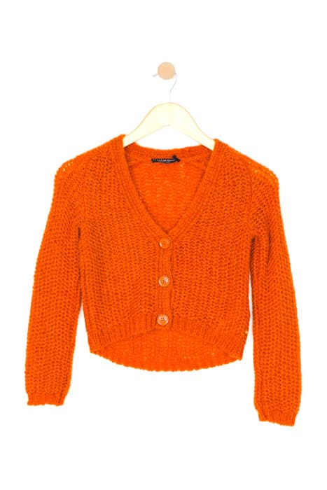 SHORT V-NECK BUTCARD LS ORANGE by River Woods