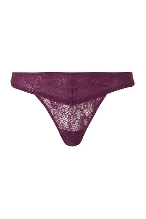 LI ON THONG DREAM DARK BERRY by Livera