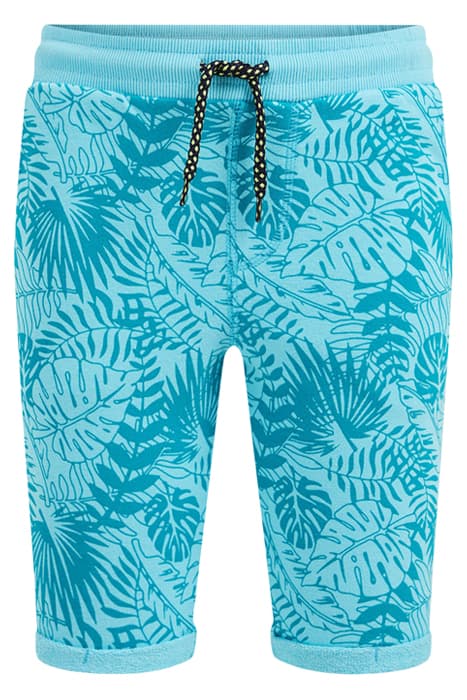 JONGENS SWEATSHORT MET DESSIN TURQUOISE by WE Fashion