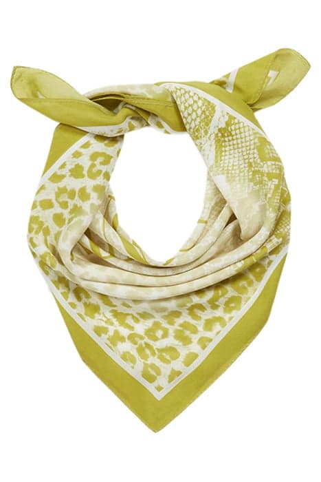 NOCHE BANDANA LIME GREEN by AllSaints