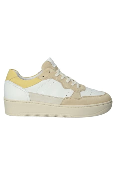 DREW - YELLOW WHITE - SNEAKER (LOW) by Blackstone