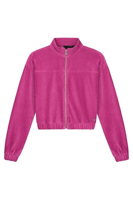 VELVET RIB SWEAT JACKET BRIGHT FUCHSIA by NIK & NIK