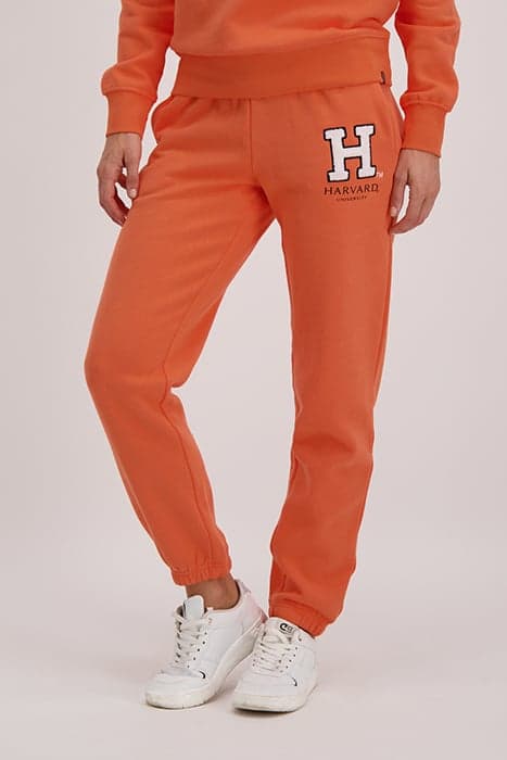 LUXY SW PANT PEACH by Cars Jeans