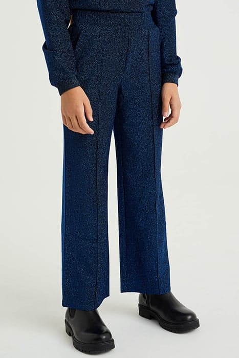 TROUSER DARK BLUE by WE Fashion