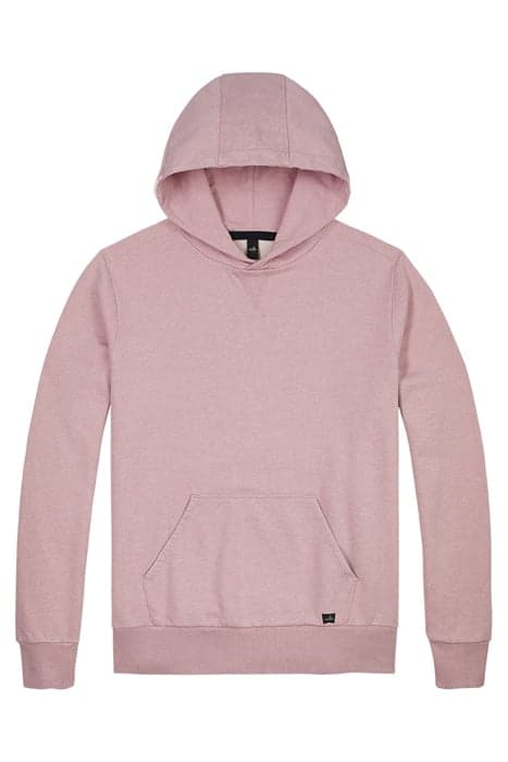 VANCE-BAND | HOODED SWEATSHIRT SILVER PINK by WAHTS