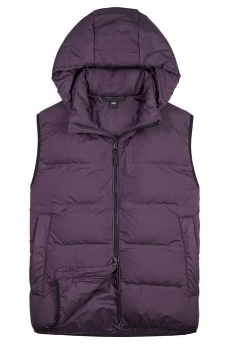 COLT | TECH PUFFER VEST ROYAL PURPLE by WAHTS