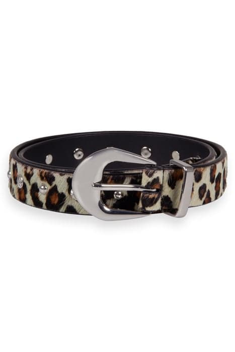 STUDDED BELT CREATURES OF THE NIGHT FIELD GREEN by Scotch & Soda