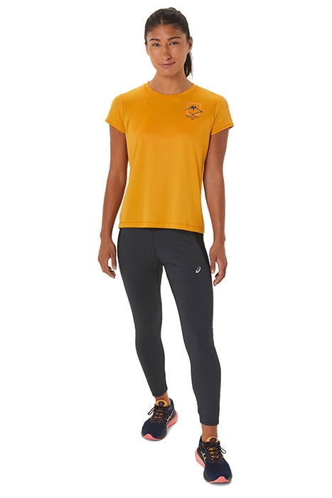 FUJITRAIL LOGO SS TOP SANDSTORM 2