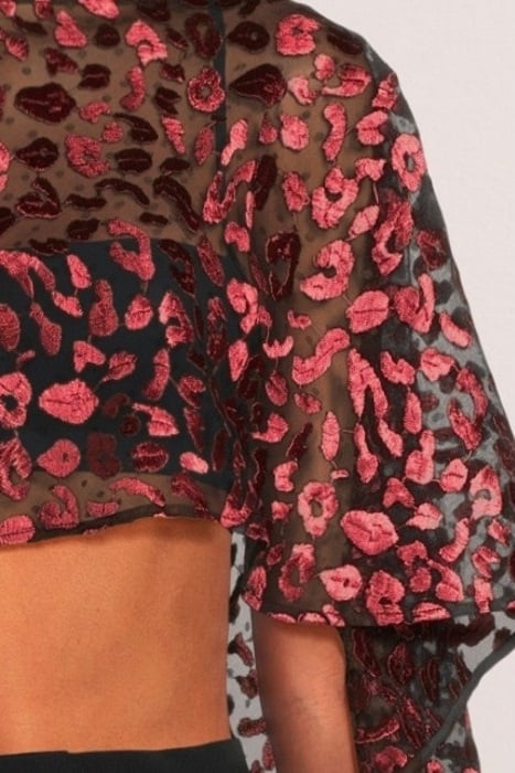 LIBERTA-H19 ROSEWOOD 4