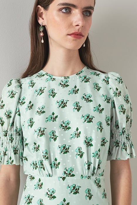 DR TABITHA - PRIMULA PRIN PALE BLUE 5