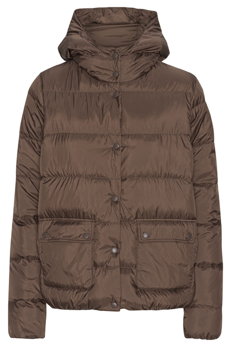 WALK05 CHOCOLATE BROWN 3