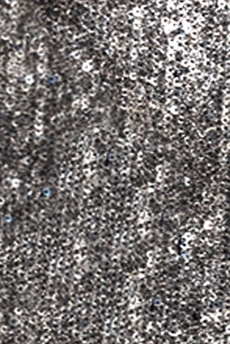 SEQUIN BLAZER THE LAME FANCY 6