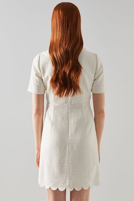 DR VENETIA TWEED SCALLOP CREAM 2