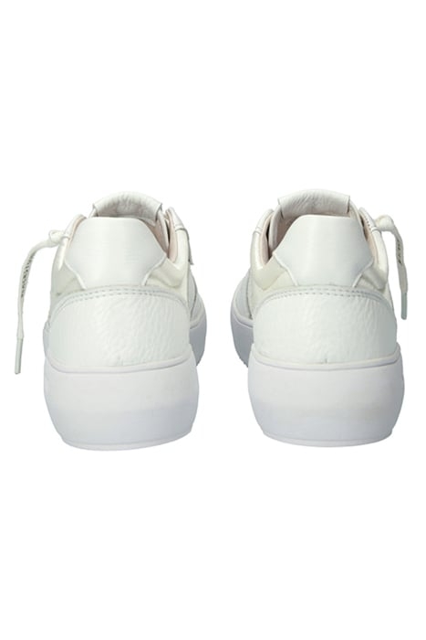 RILEY - ZL81 WHITE - SNEAKER (LOW) WHITE 8