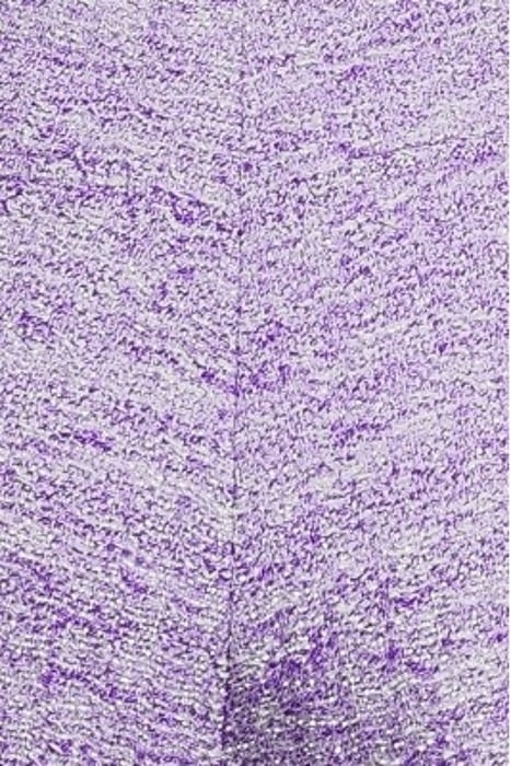 NAJO PURPLE/SILVER 5