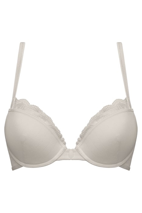 THE MAURITSHUIS IVORY 3