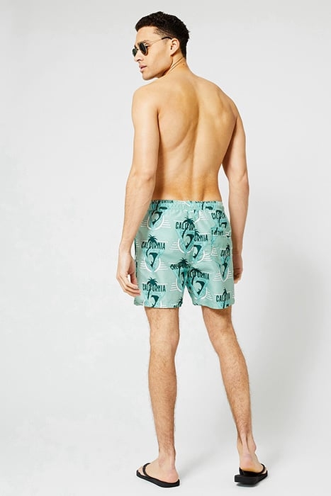 ARIZONA AOP LIGHT GREEN 5