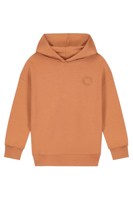 COLLEGE N HOODIE HAZEL 1