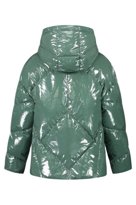 HOLLY SHINY PUFFER GARDEN GREEN 2