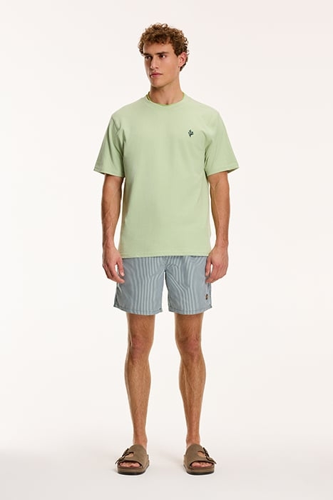 PALM T-SHIRT DUST GREEN 3