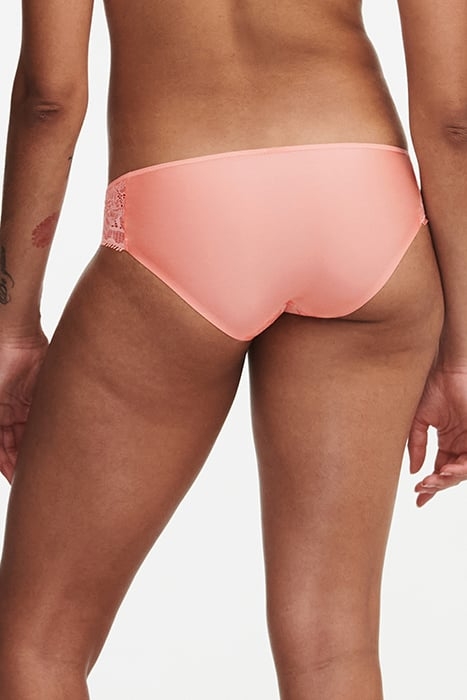 DAY TO NIGHT ORANGE 3