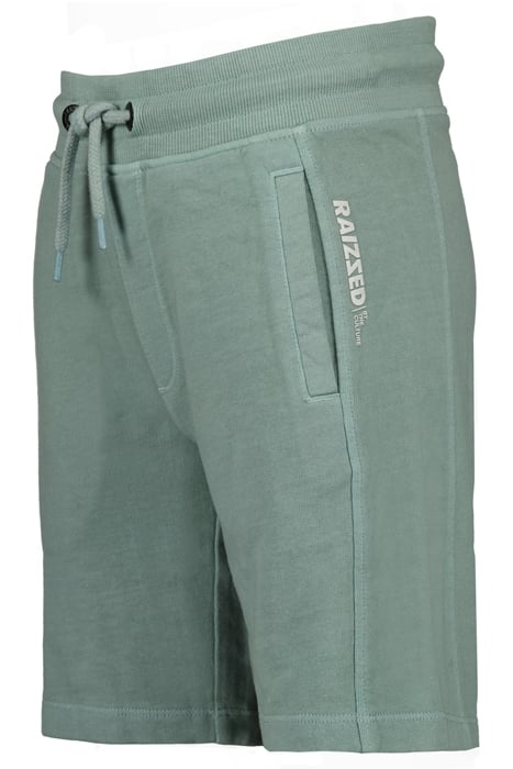 BOYS BRAD SHORTS MINT GREY 3