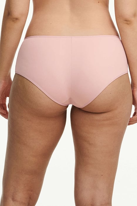 CO BO. SHORTY COVERING ENGLISH ROSE 2